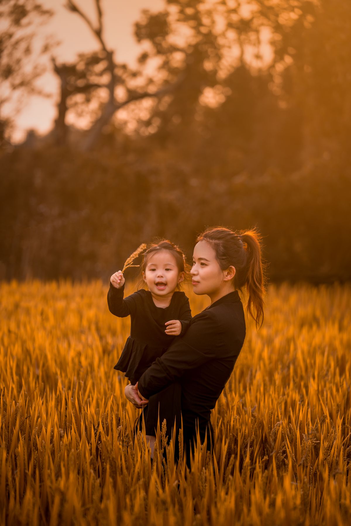 Stock stand-in: a mother and toddler playing together in a golden field